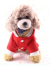 CHRISTMAS DOG SWEATER CLARISA red