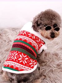 <tc>Kalėdinis šuns megztinis Claud raudonas</tc>